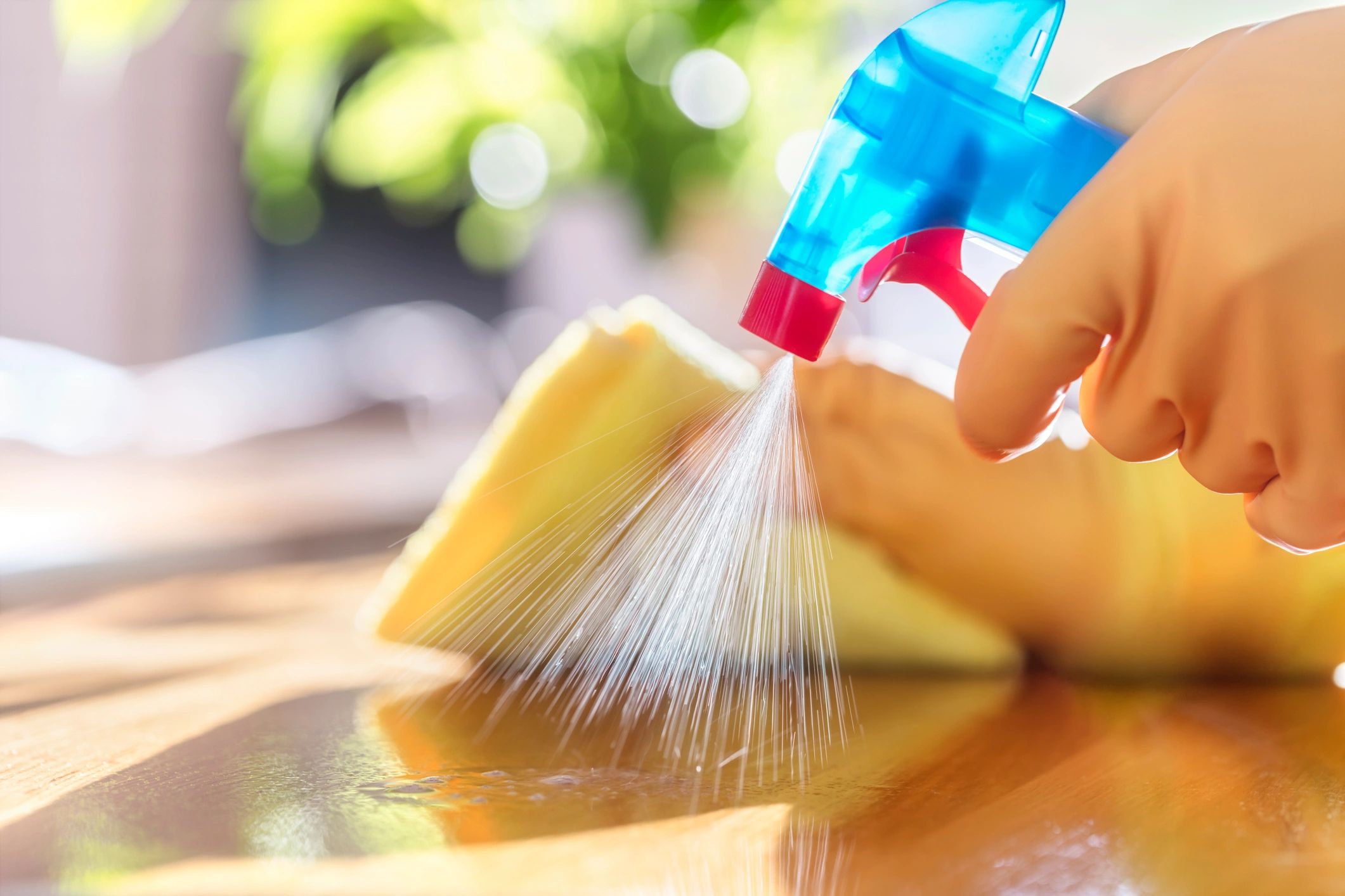 Carpet cleaning